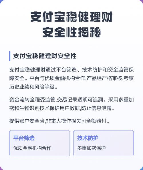 支付宝黄v是支付了多少钱