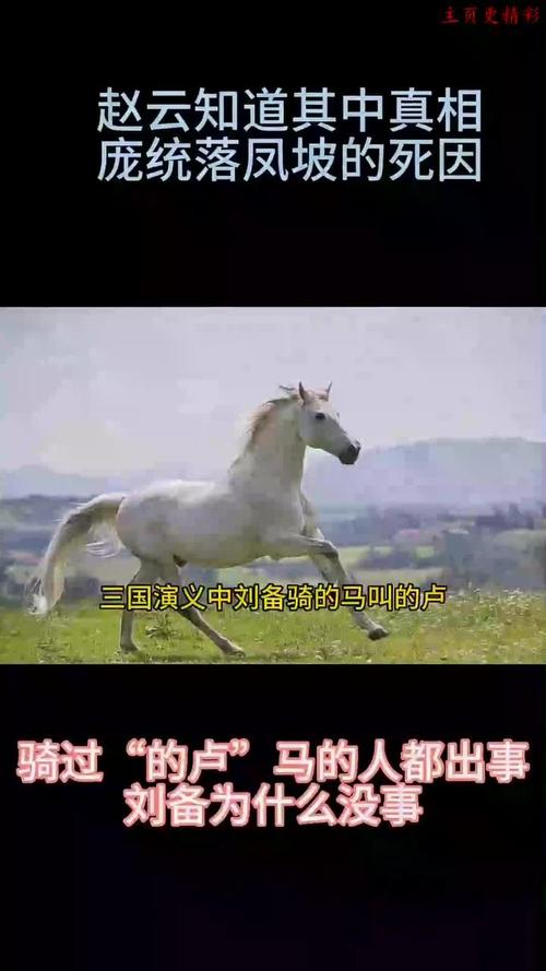 刘备的坐骑叫什么名字