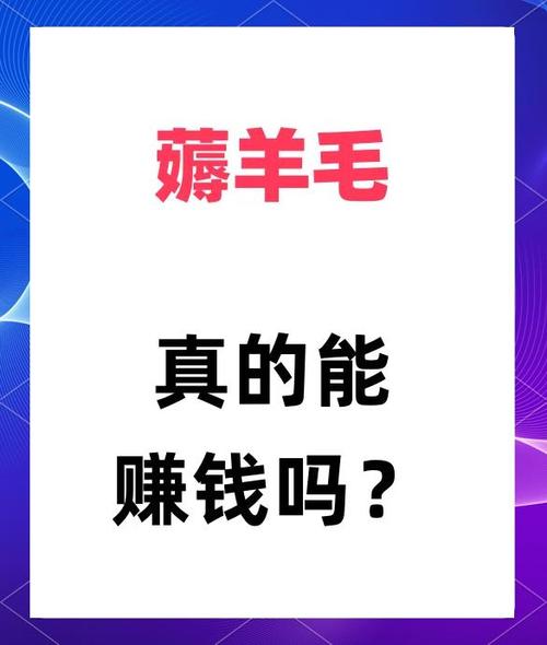 趣羊毛赚钱
