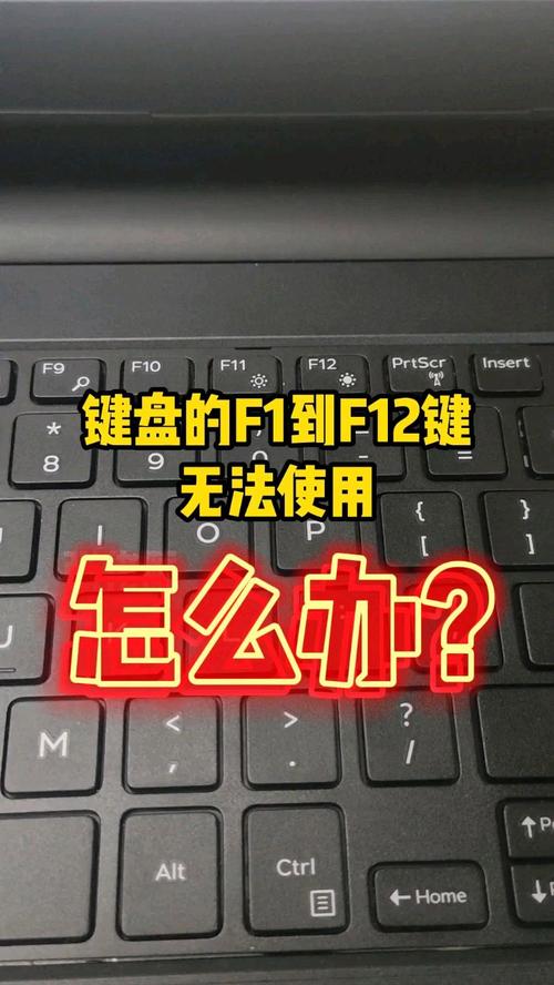 hp键盘f1到f12取消按fn