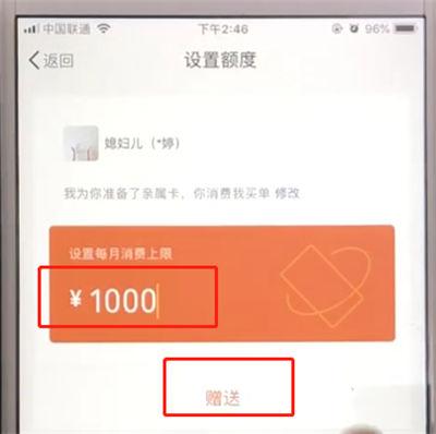亲属卡对方能看到额度吗