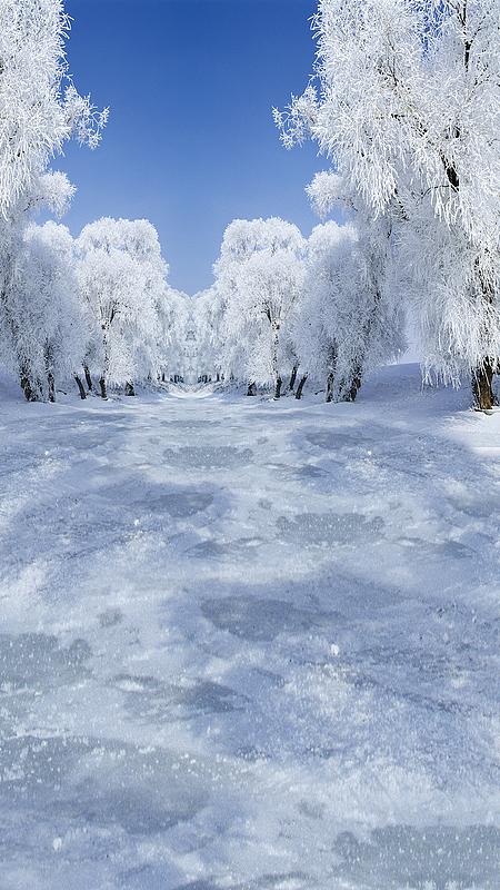 雪景图片大全高清图片