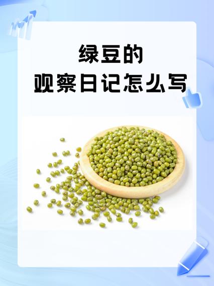 绿豆视频