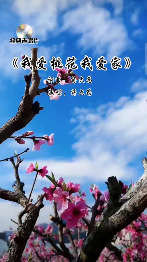 我爱桃花