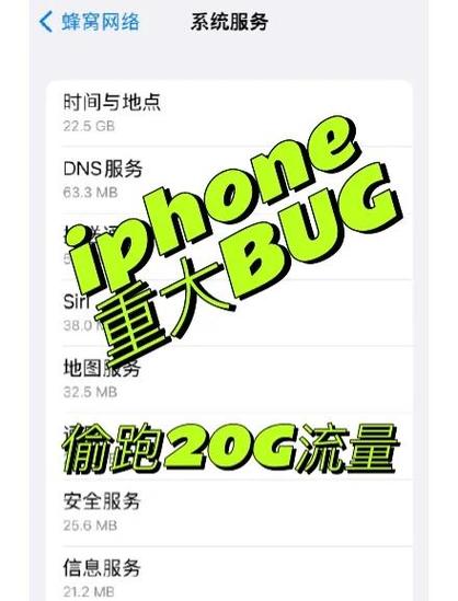 苹果查流量使用情况