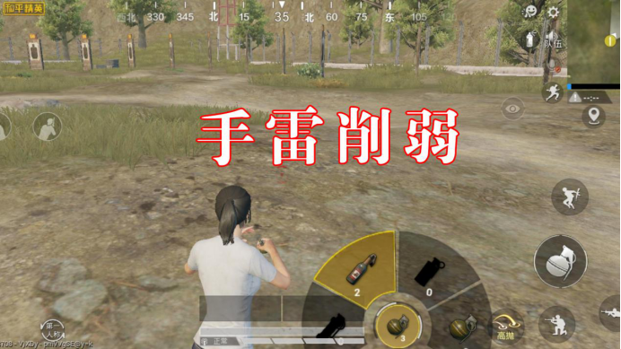 转区和平精英