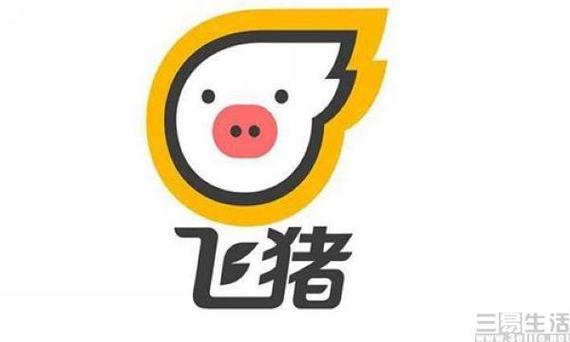 下载飞猪图标