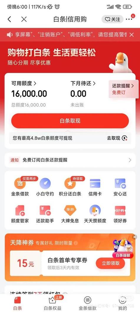 京东买东西什么叫打白条