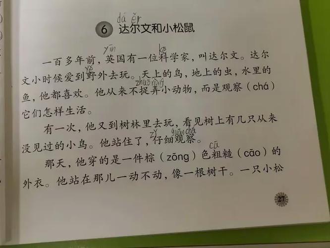 《松鼠》阅读题图标