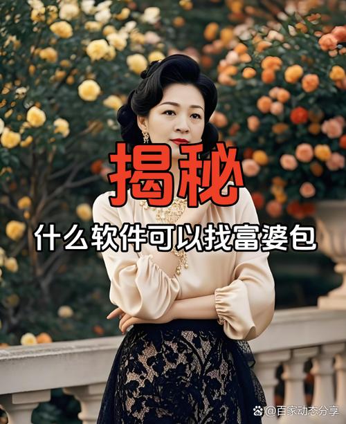 亿万富翁软件