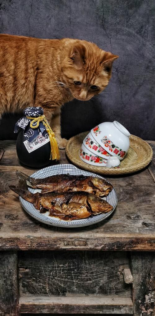 不吃鱼的猫小说作品集秦浩