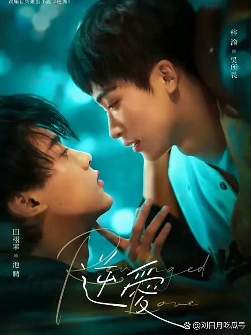影视剧大全免费观看