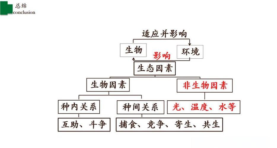 生物生存的基本条件