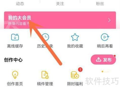 大vip有什么用图标