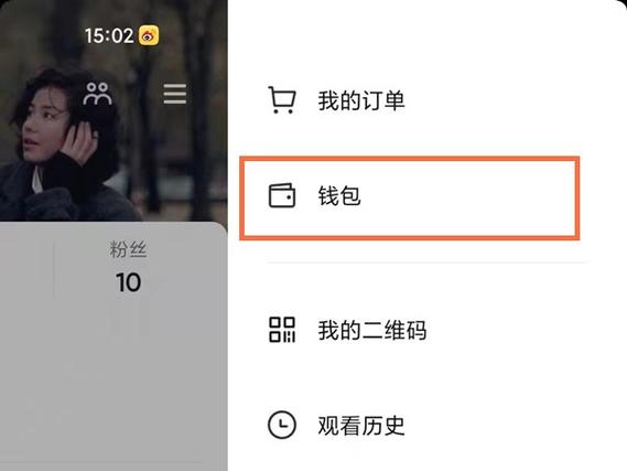 如何查看抖币明细图标
