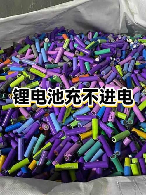 电瓶车锂电池充不进去电图标