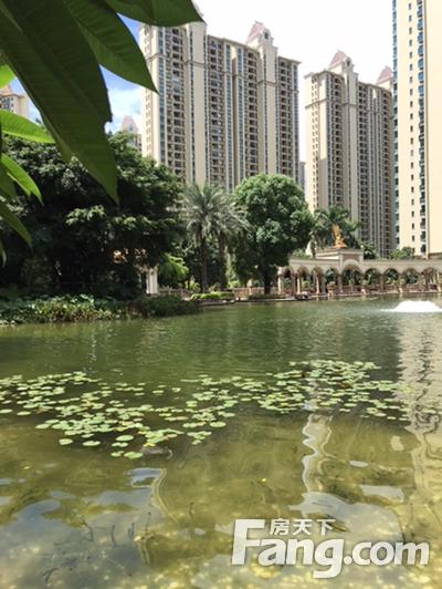 北海365信息怎么发布