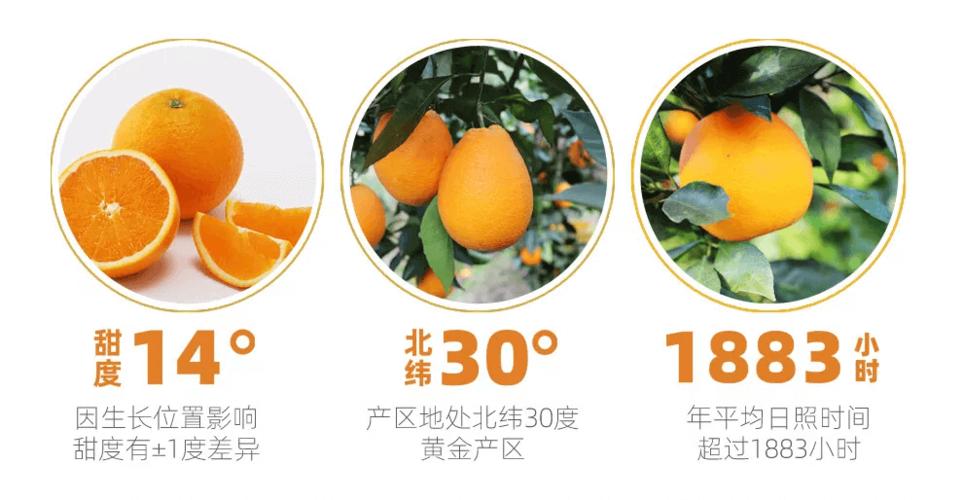星球果园的总部在哪里图标