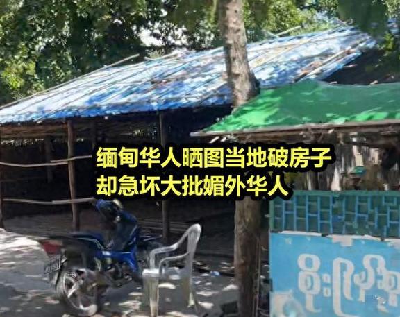 我在缅甸觉醒了军团系统