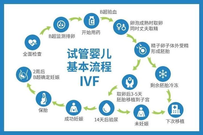 人类辅助生殖技术包括