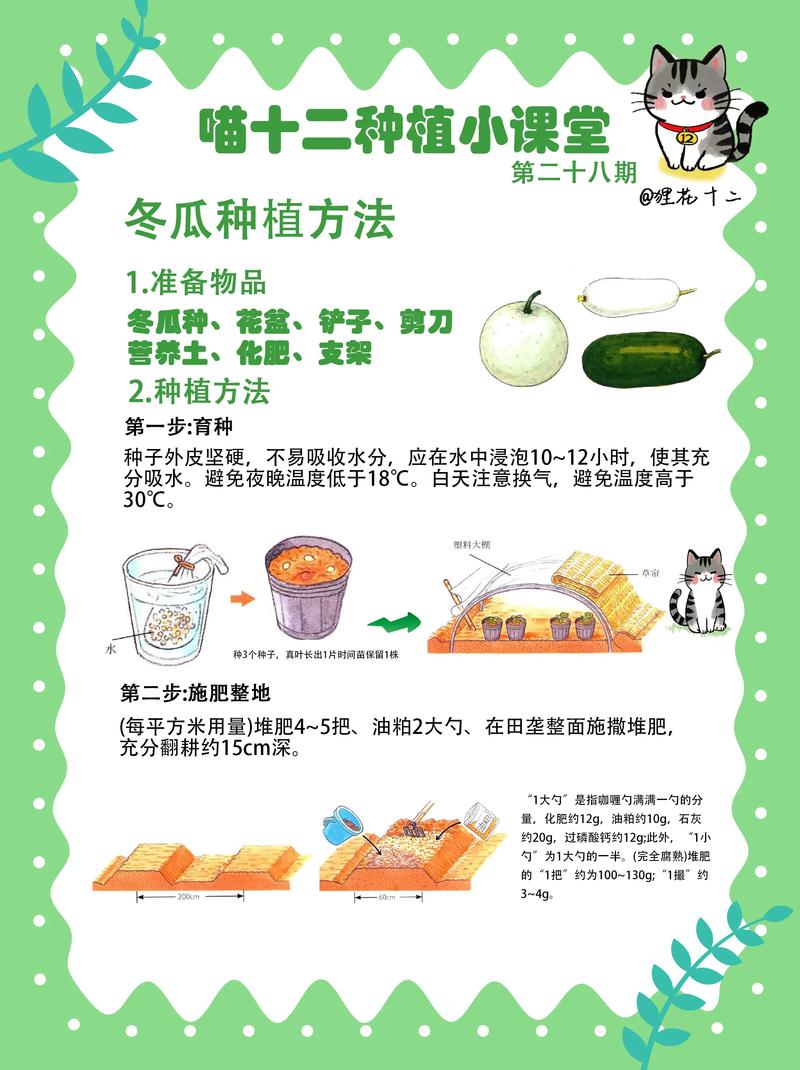 冬瓜如何种植最简单方法