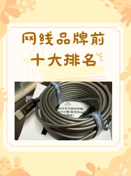 网线十大名牌排名
