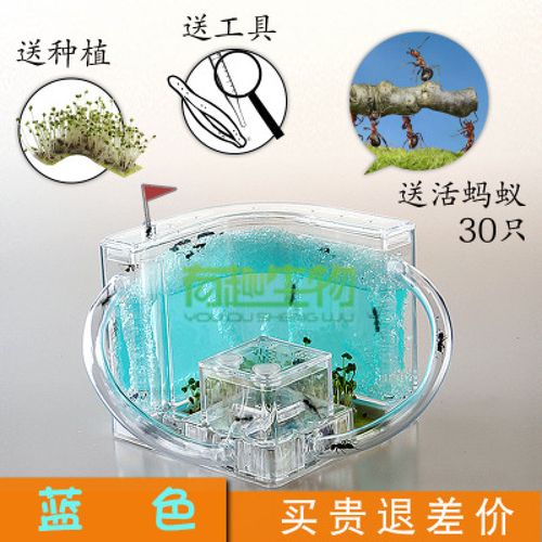 养蚂蚁的盒子图标