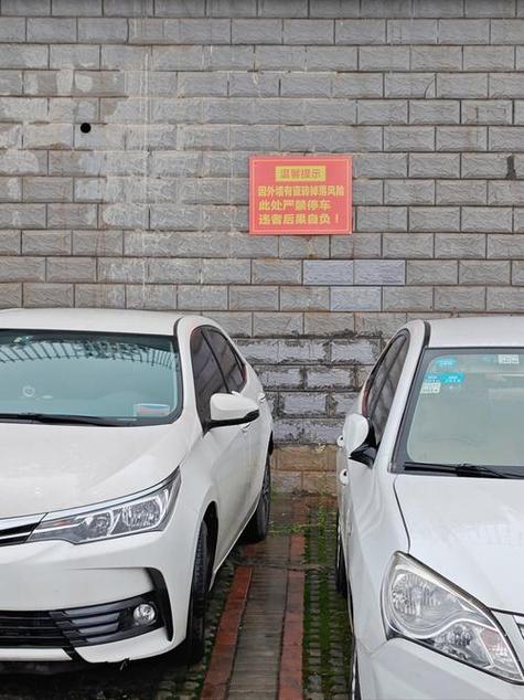 车忘了停哪了怎么找回来图标
