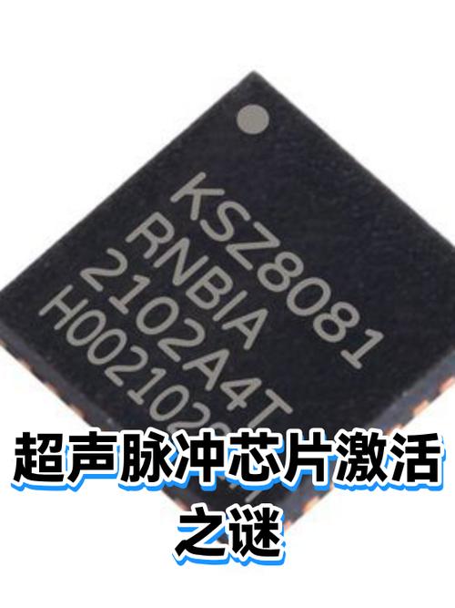 杉果游戏一直激活失败