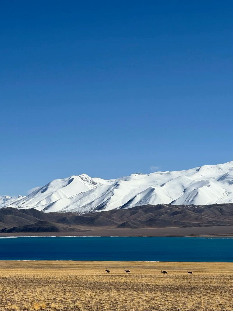 阿里宝卡是什么卡
