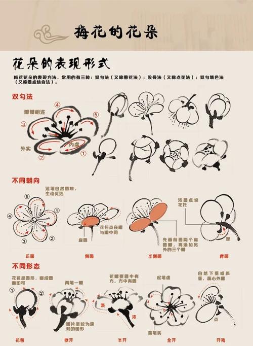 梅花视频观看方法