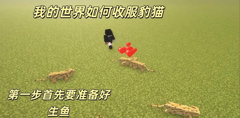 我的世界驯服豹猫的方法图标