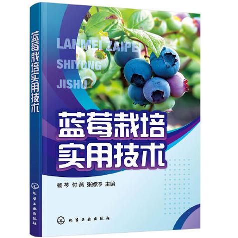 蓝莓栽培技术
