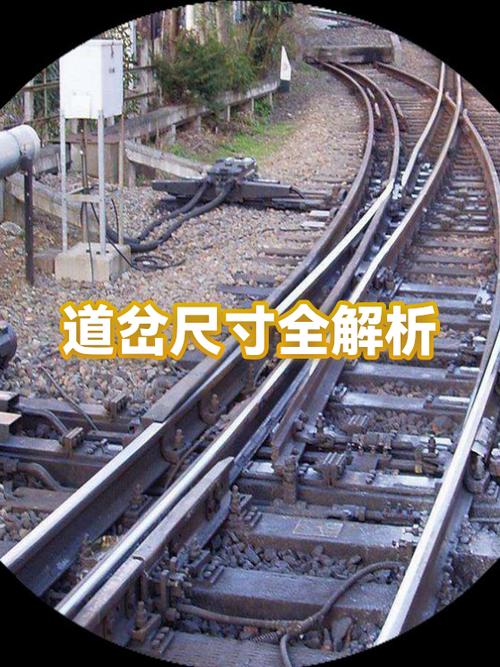 轨道由哪些部件构成