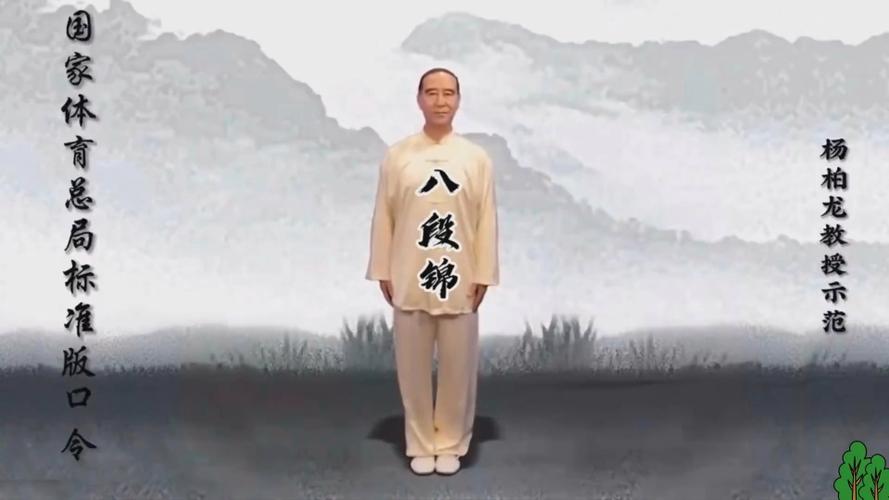体育总局八段锦完整教学视频图标