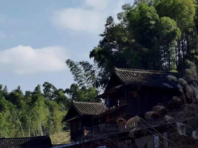白云深处野人家.倚杖闲吟日未全斜