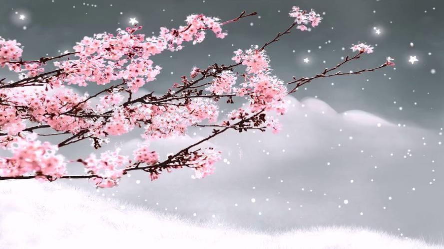 梅花视频大屏素材