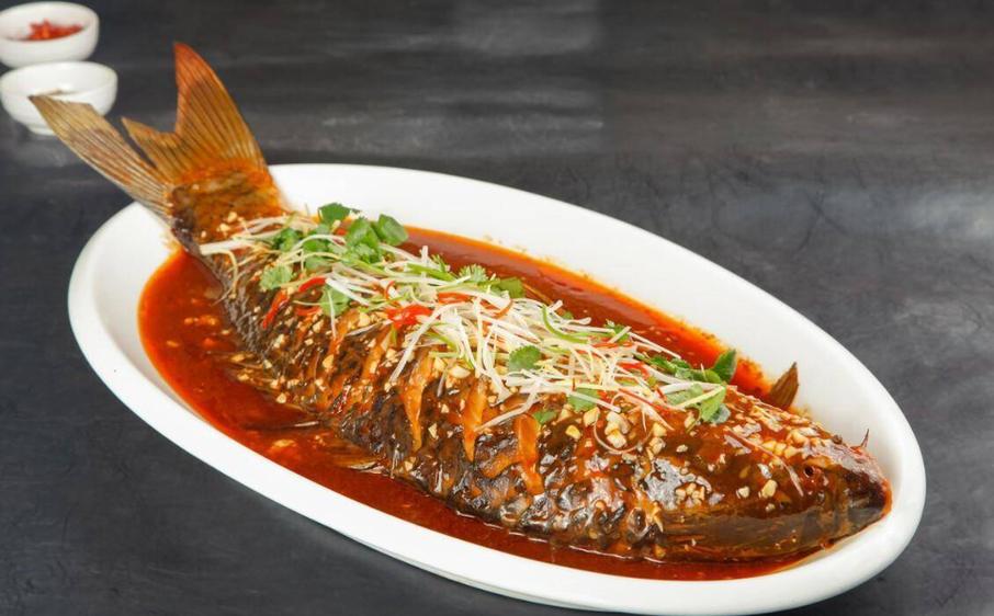 鲤鱼最爱吃的10种食物