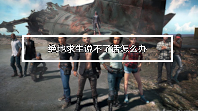 吃鸡麦说不了话