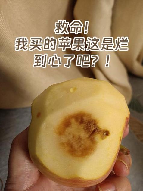 苹果心褐色还能吃吗图标
