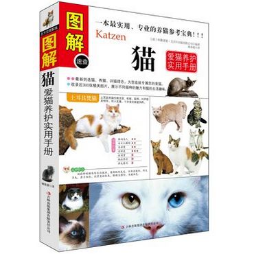 怎样让猫知道它做错了