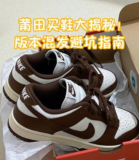 一年要买多少双鞋