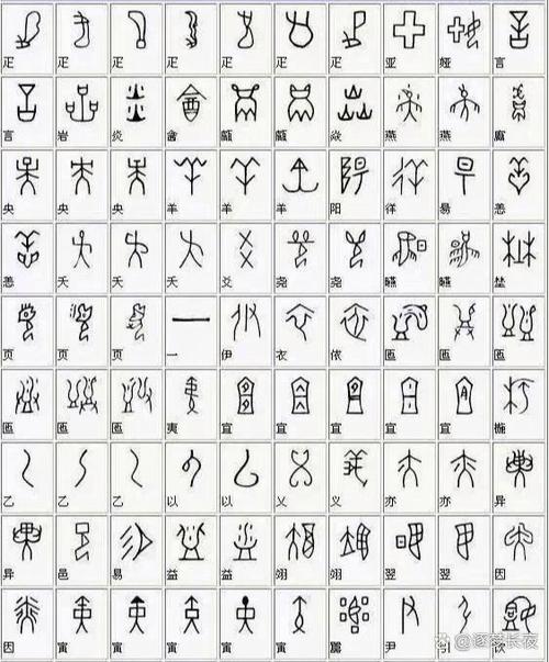 《汉字大全10000个》