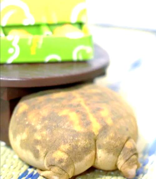 《馒头》视频