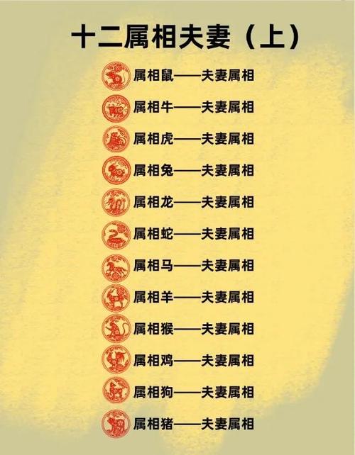 苹果手机跟手表配对不上怎么办