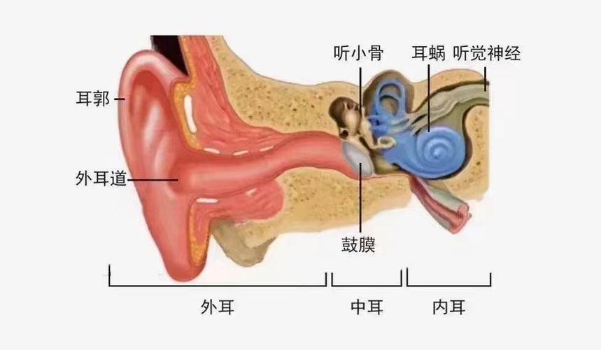 手机有响声找不到声音来源