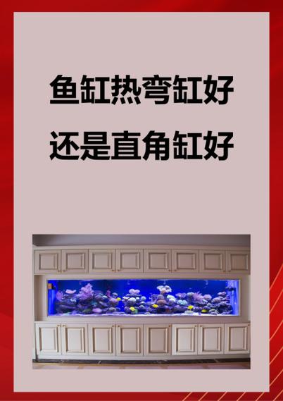 热弯鱼缸好还是直角的好