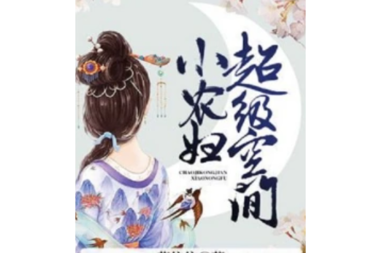 超级空间小农妇免费阅读完结
