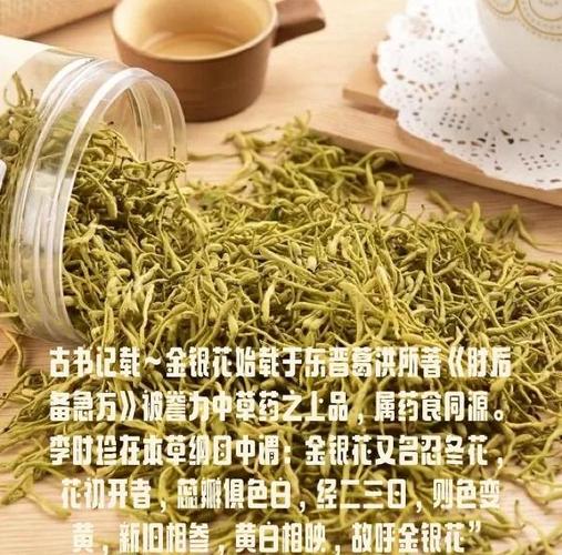 金银花是树还是藤