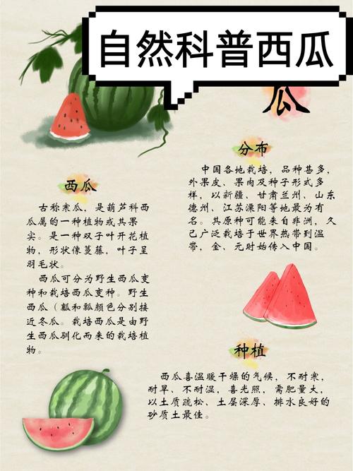 西瓜的名称由来